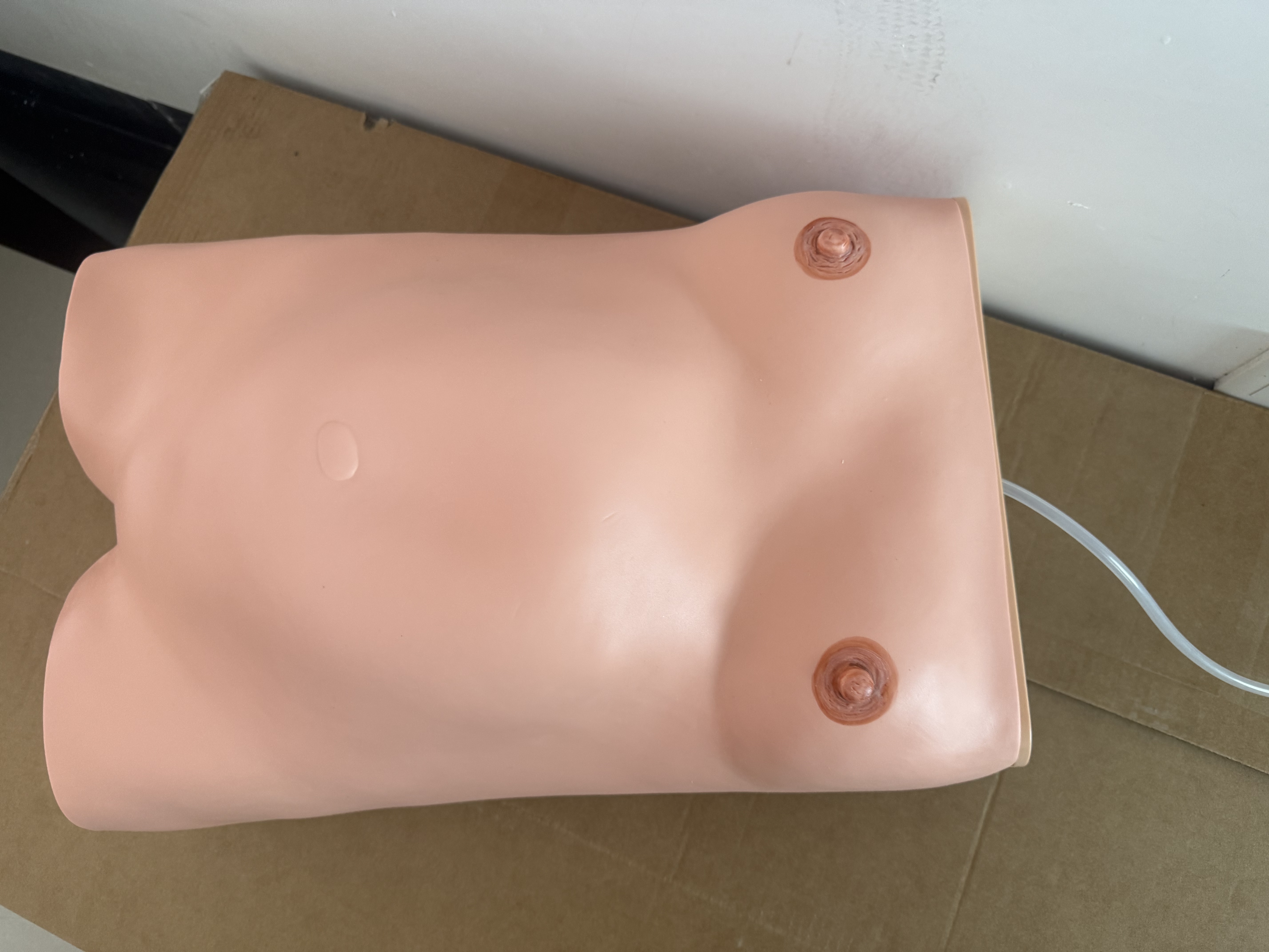 Computerized prenatal examination model-0