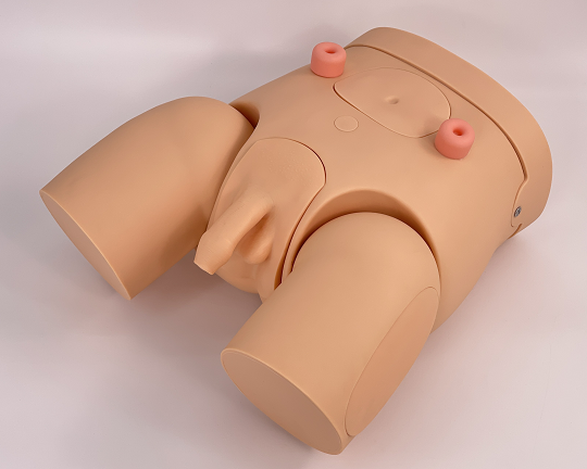 Advanced male urinary catheterization teaching model-0