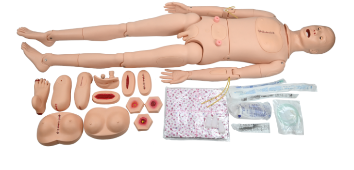 Senior male caregiver + 3 pressure ulcer modules + 8 trauma modules + Male and female genitals-0