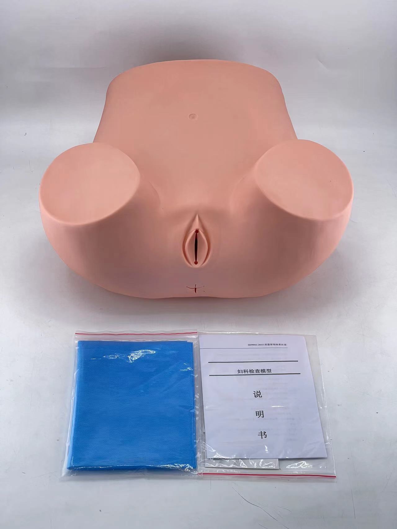 Gynecological training model-0