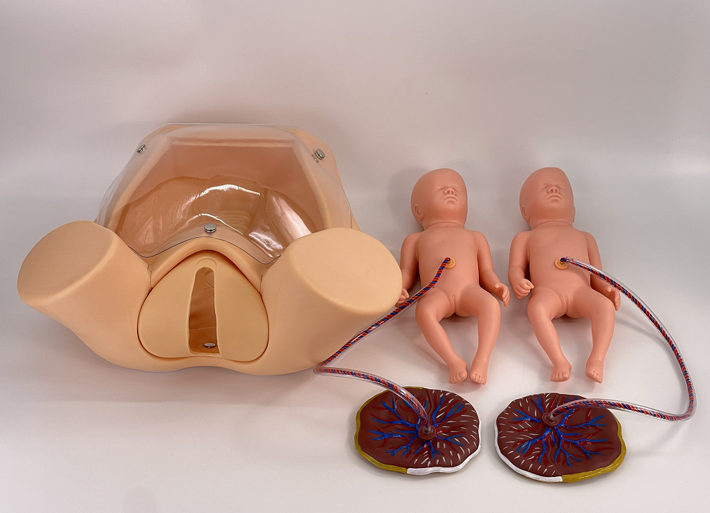 Comprehensive childbirth skills training model-0