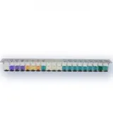 Sistema de identificaci&oacute;n de bacterias Gram negativas Bojian, 5 tiras/juego