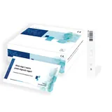 FT4: Calzado Deportivo Premium para Estilos de Vida Activos