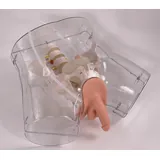 Modelo de cateterismo urinario masculino transparente