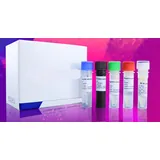 Reactivo de PCR (48 pruebas por caja)