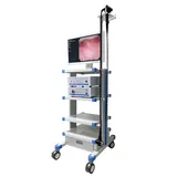 Sistema de gastroscopio de video (gastroscopio de video + monitor m&eacute;dico + fuente de luz + procesador de im&aacute;genes de video + carrito)