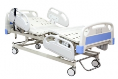 Luxury Three Function Electric Care Bed