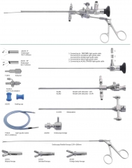 Pediatric Lockable cystoscopy Endoscope Sheath with obturator Manipulator Endoscope Bridge Endoscope flexible forceps Light guide cable sealing cap Lu