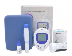 Blood Glucose Glucometer Monitoring System