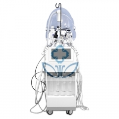 13 in one, Mutlfuctional Facial Beauty Machine;   5L Oxygen therpay
